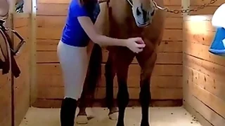 Multi Porn Videos 6